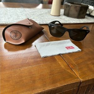 Ray-Ban Wayfarer Liteforce Polarized